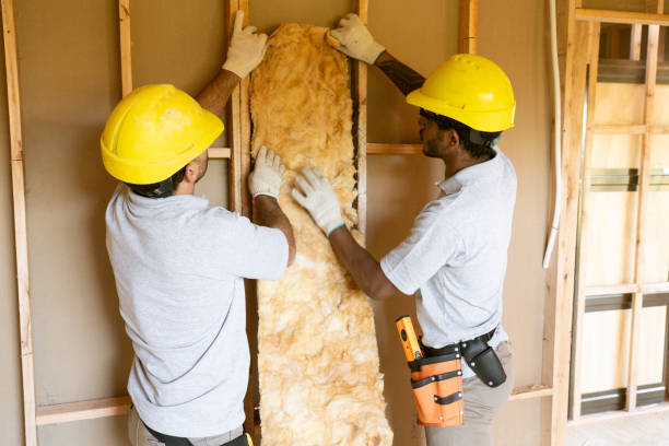 Types of Insulation We Offer in Lakeport, TX